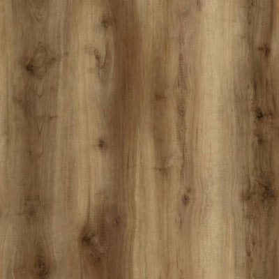 AquaShield SPC Waterproof Vinyl Wide Plank Flooring Pass a Grielle DS-113