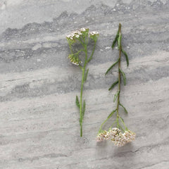 Surface Art Como Artistic Travertine Porcelain Tile Floor Nebulo Vein Made in Italy